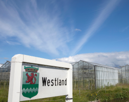 Westland